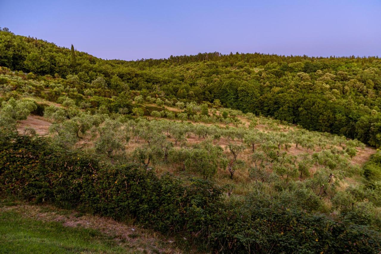 카스텔리나인키안티 Agriturismo Concadoro 빌라 외부 사진