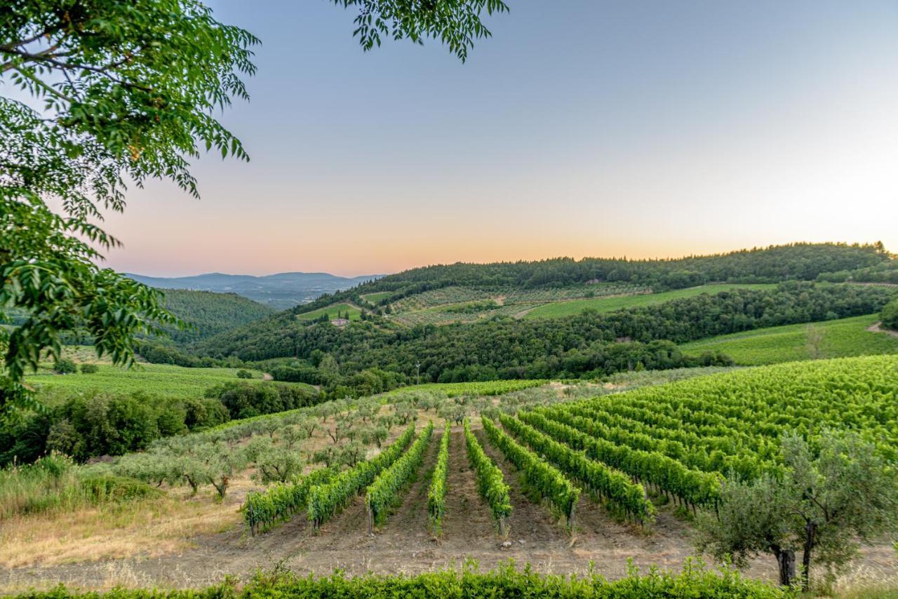 카스텔리나인키안티 Agriturismo Concadoro 빌라 외부 사진